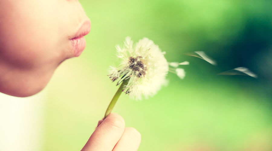 Seasonal Changes: Promote Allergy Products In Your Front End This Spring by Elements magazine | pbahealth.com