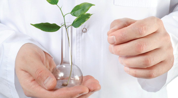 Staying Relevant: How to Grow Your Pharmacy in Today's Rapidly Changing Health Care Environment by Elements magazine | pbahealth.com