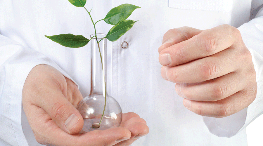 Staying Relevant: How to Grow Your Pharmacy in Today's Rapidly Changing Health Care Environment by Elements magazine | pbahealth.com